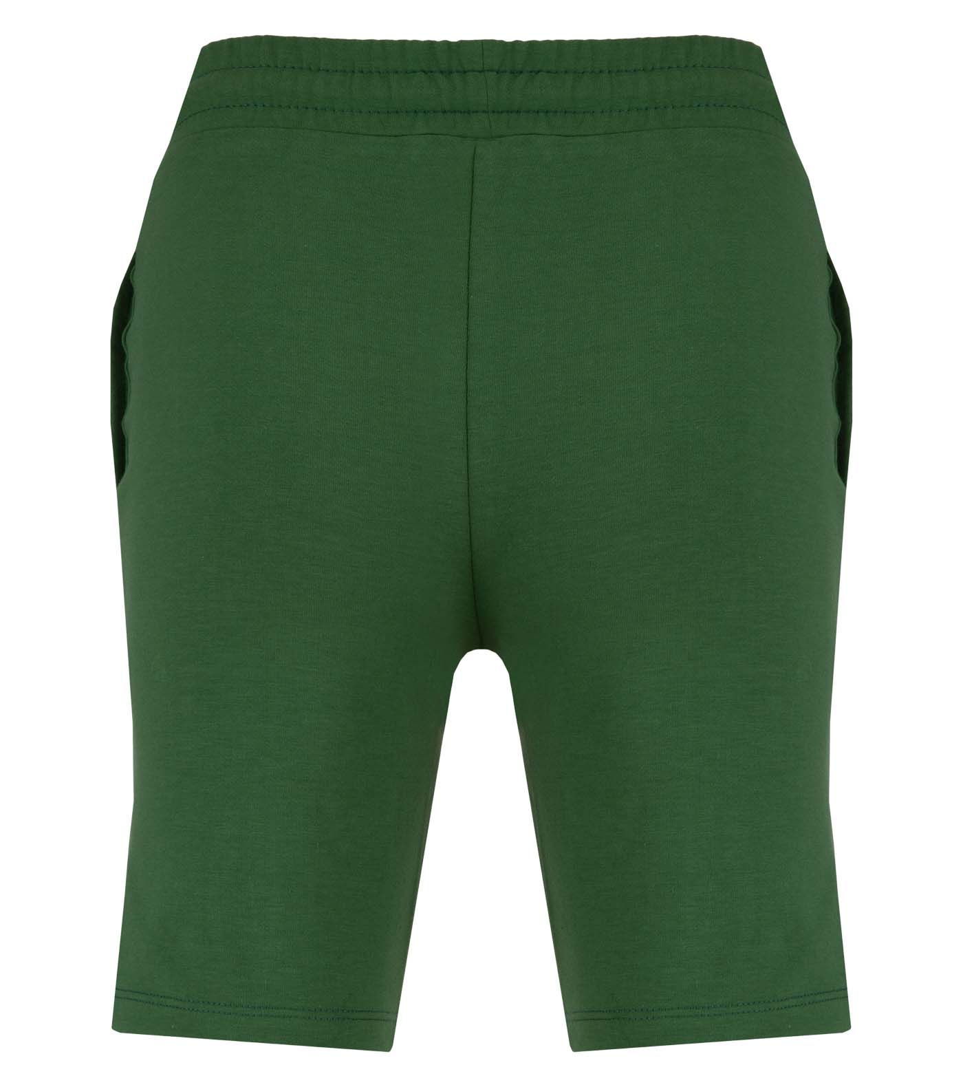 Graphic Dinosaur Shorts