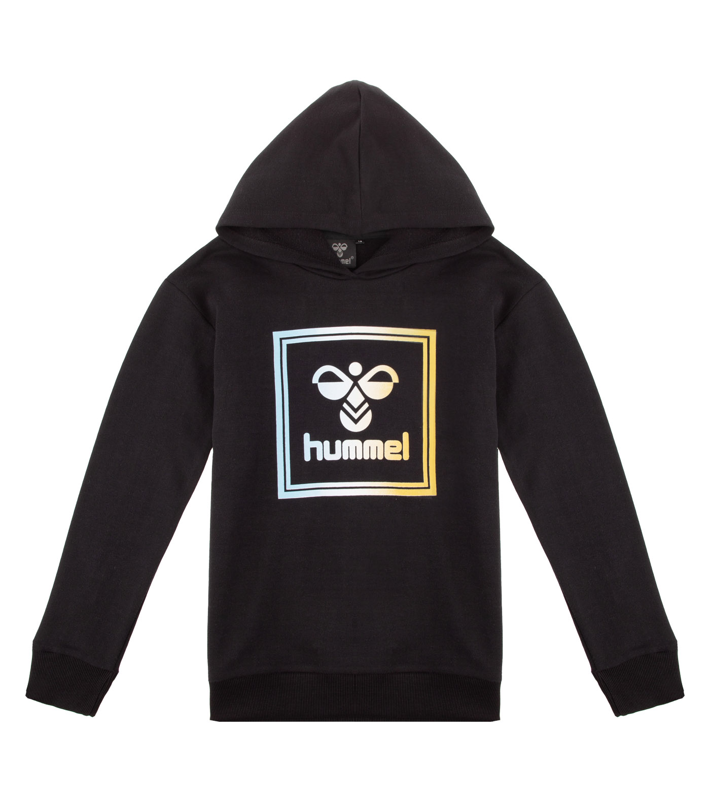 HMLLEIDEN HOODIE