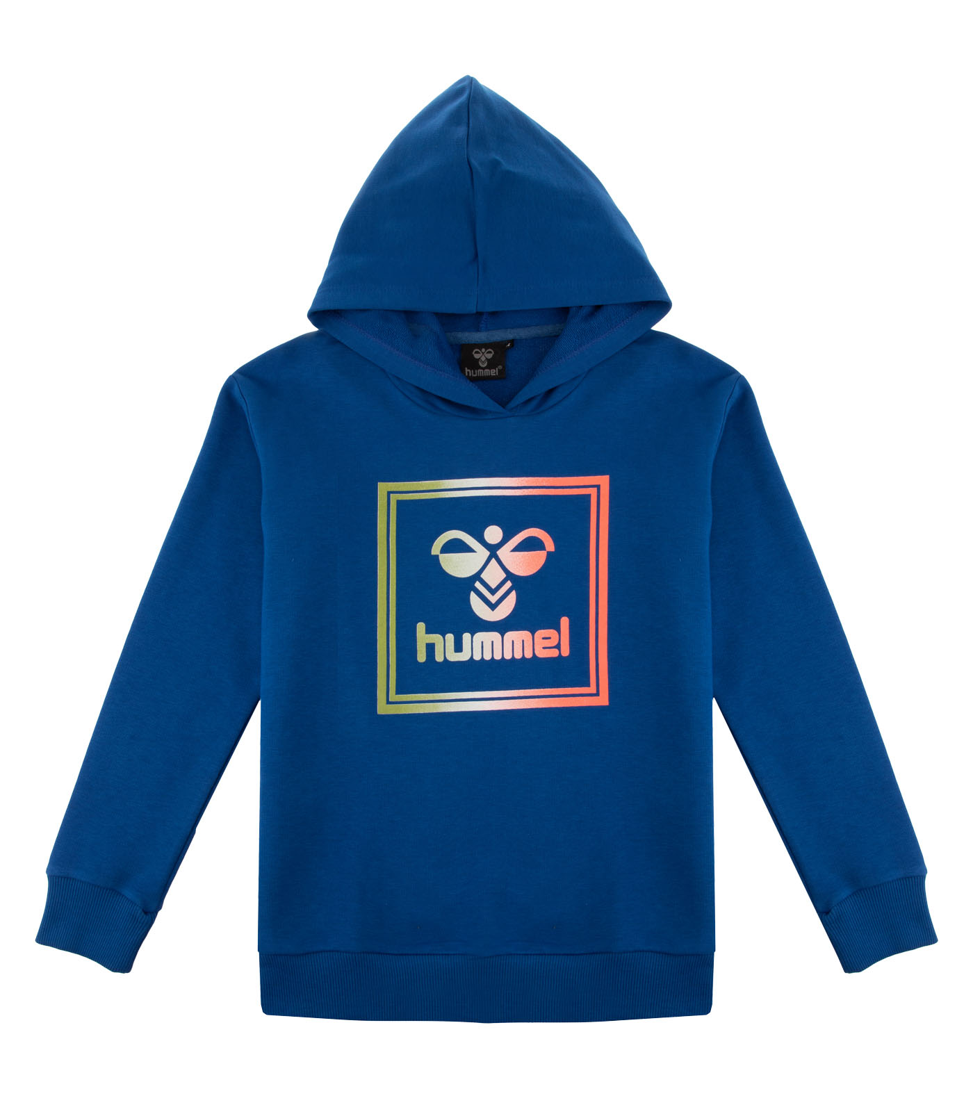 HMLLEIDEN HOODIE