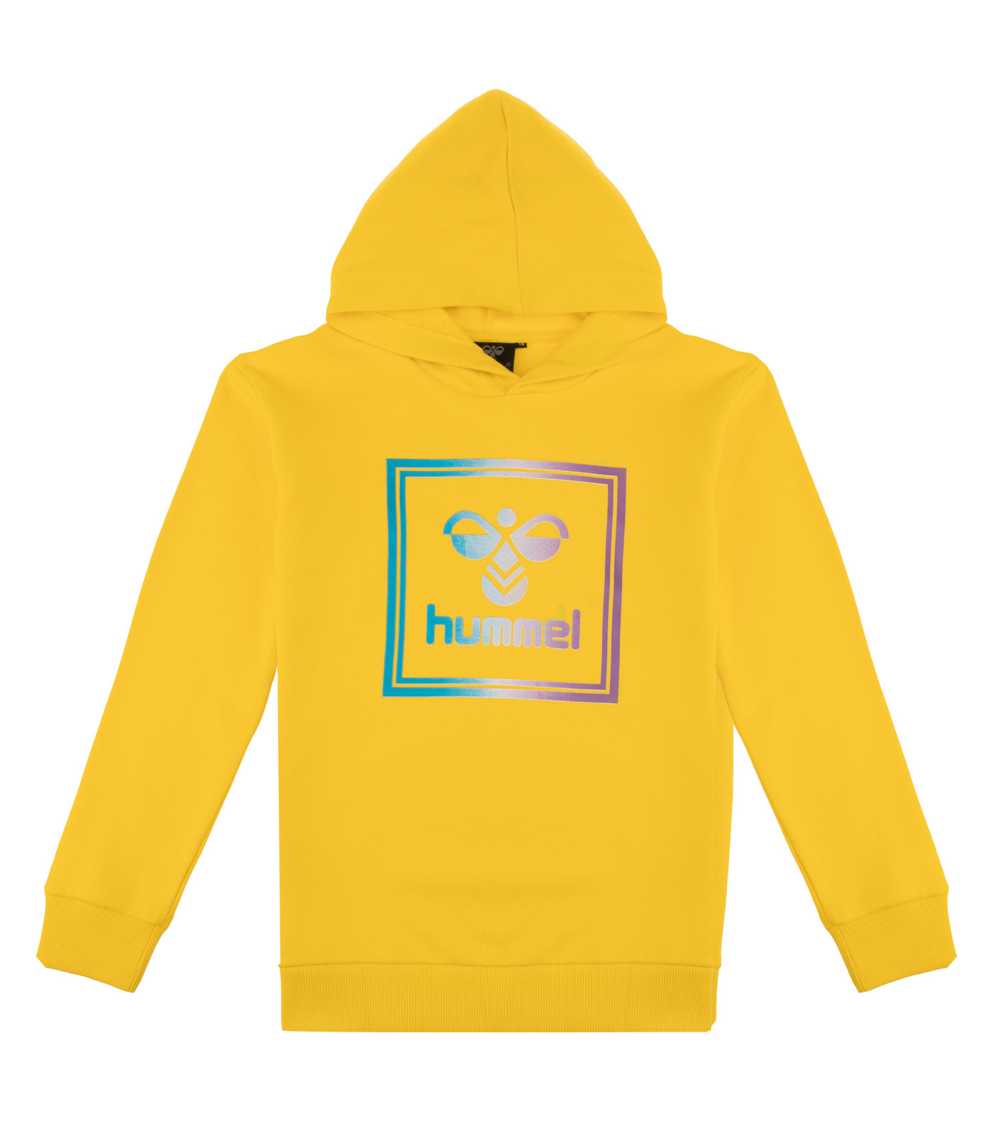 HMLLEIDEN HOODIE