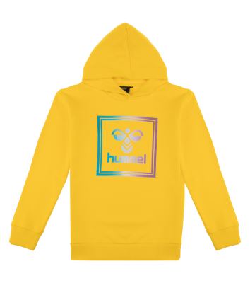 HMLLEIDEN HOODIE