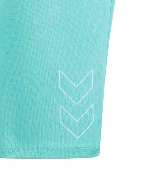 HMLTE FLEX MESH SHORTS