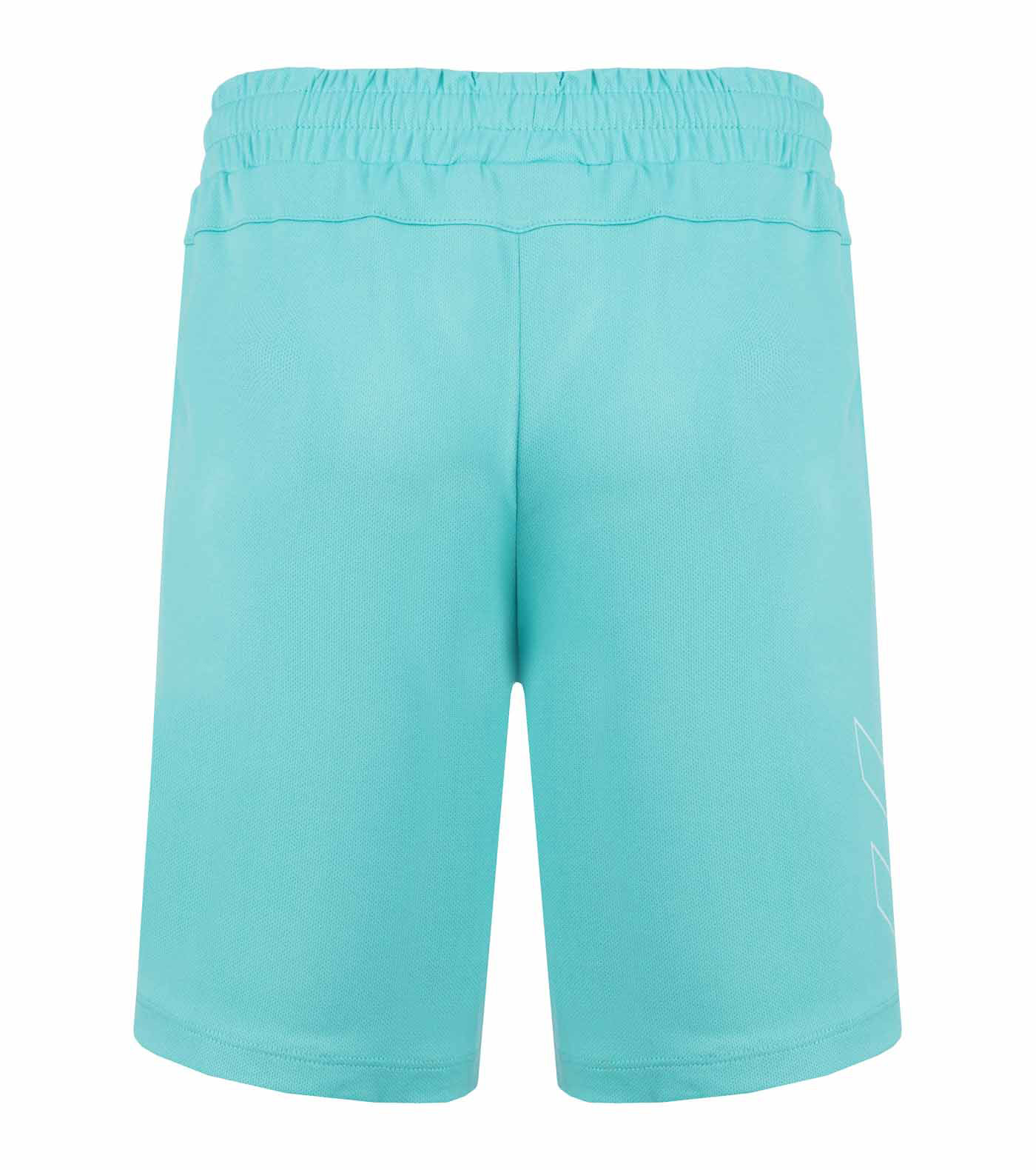 HMLTE FLEX MESH SHORTS