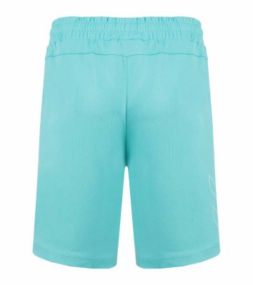 HMLTE FLEX MESH SHORTS