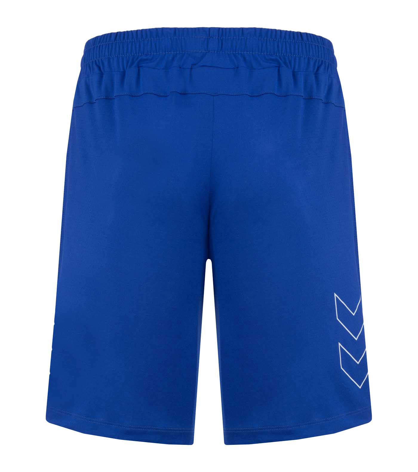 HMLTE FLEX MESH SHORTS