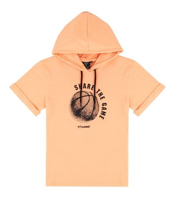 HMLOWEN HOODIE S/S