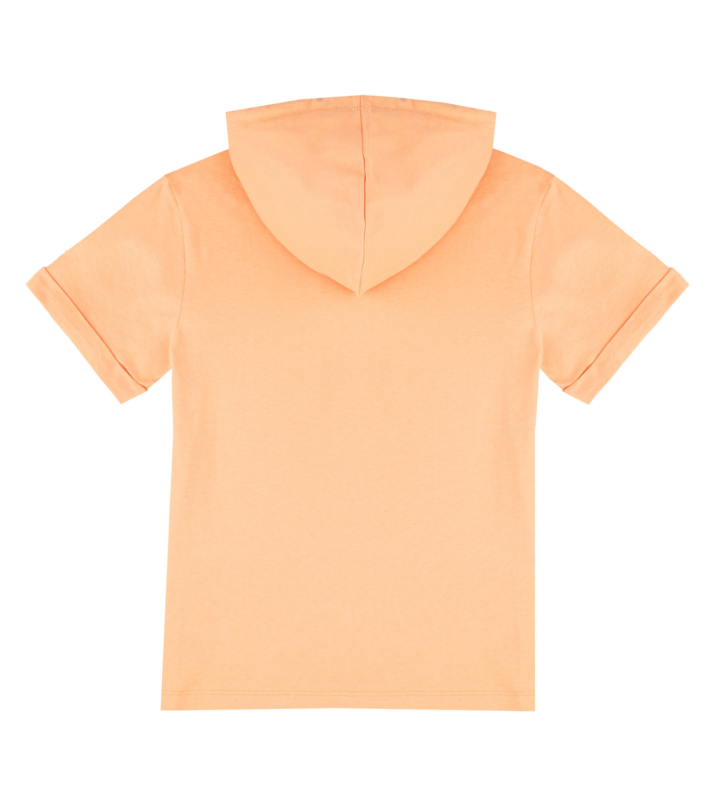 HMLERIC SHORT SLEEVE HOODIE