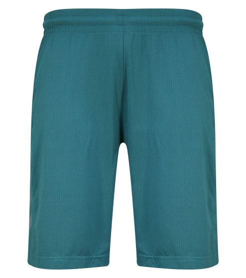 HMLCORE XK POLY SHORTS