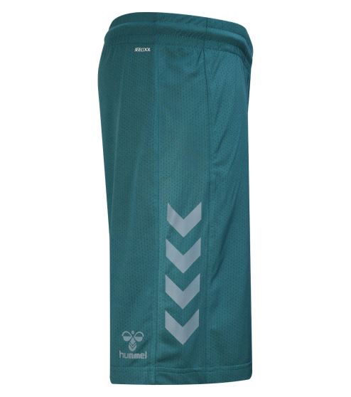 HMLCORE XK POLY SHORTS