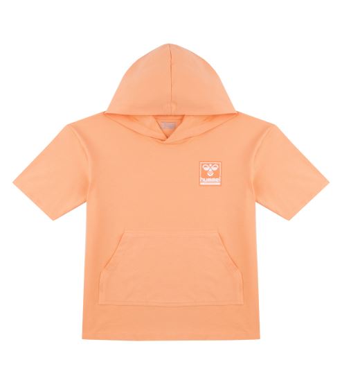 HMLOWEN HOODIE S/S
