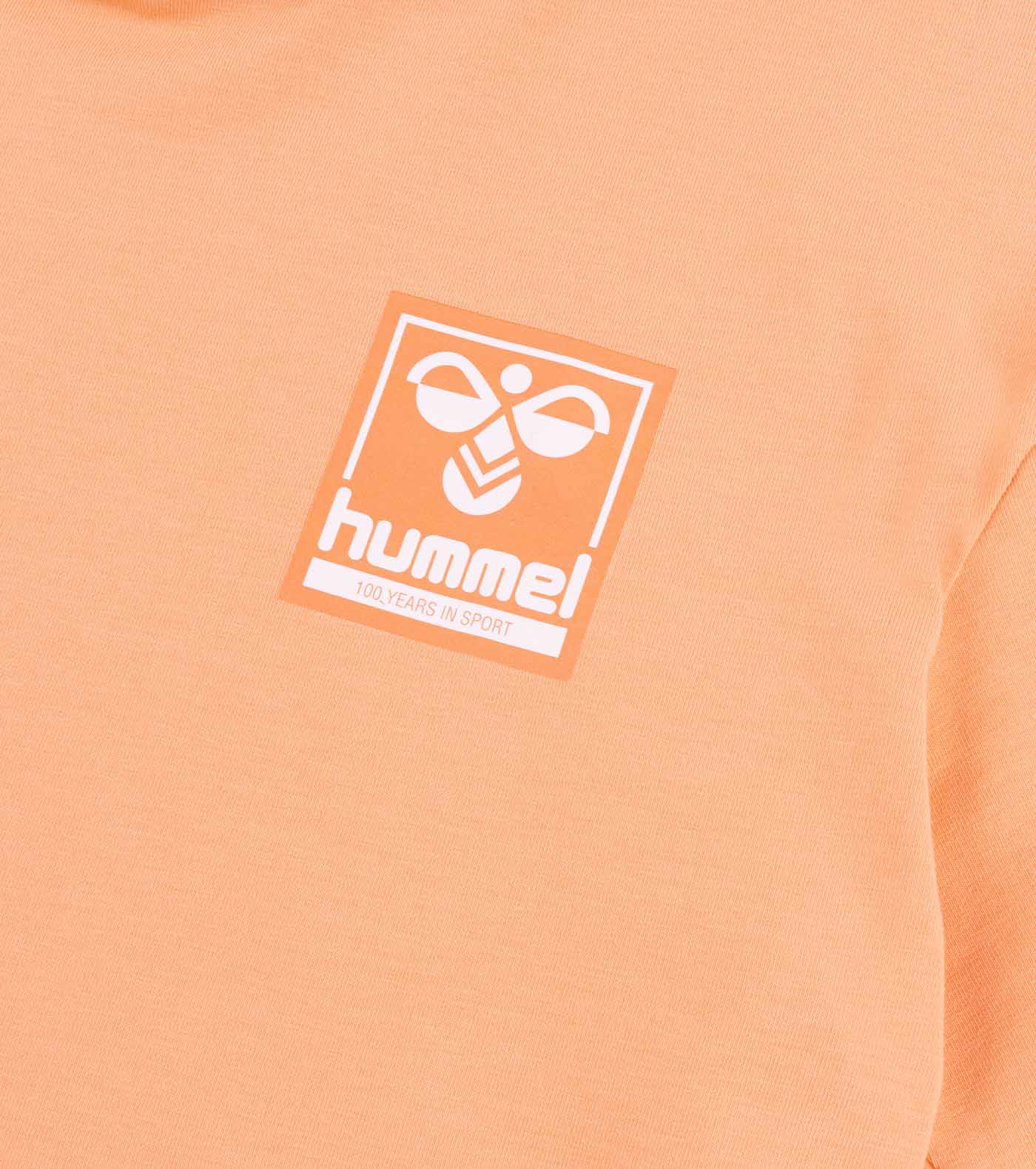 HMLOWEN HOODIE S/S