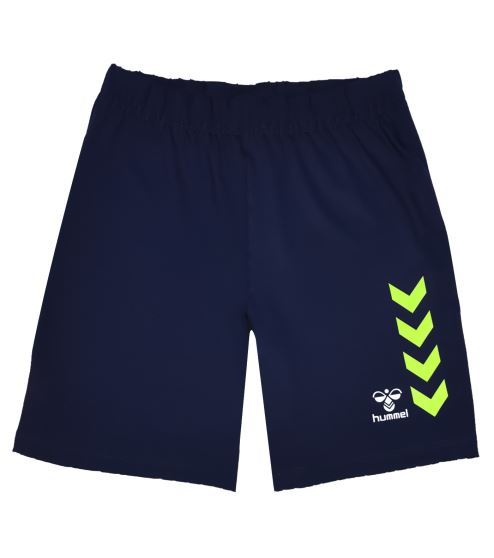 HMLGRAPHIC UNIVERSE SHORTS