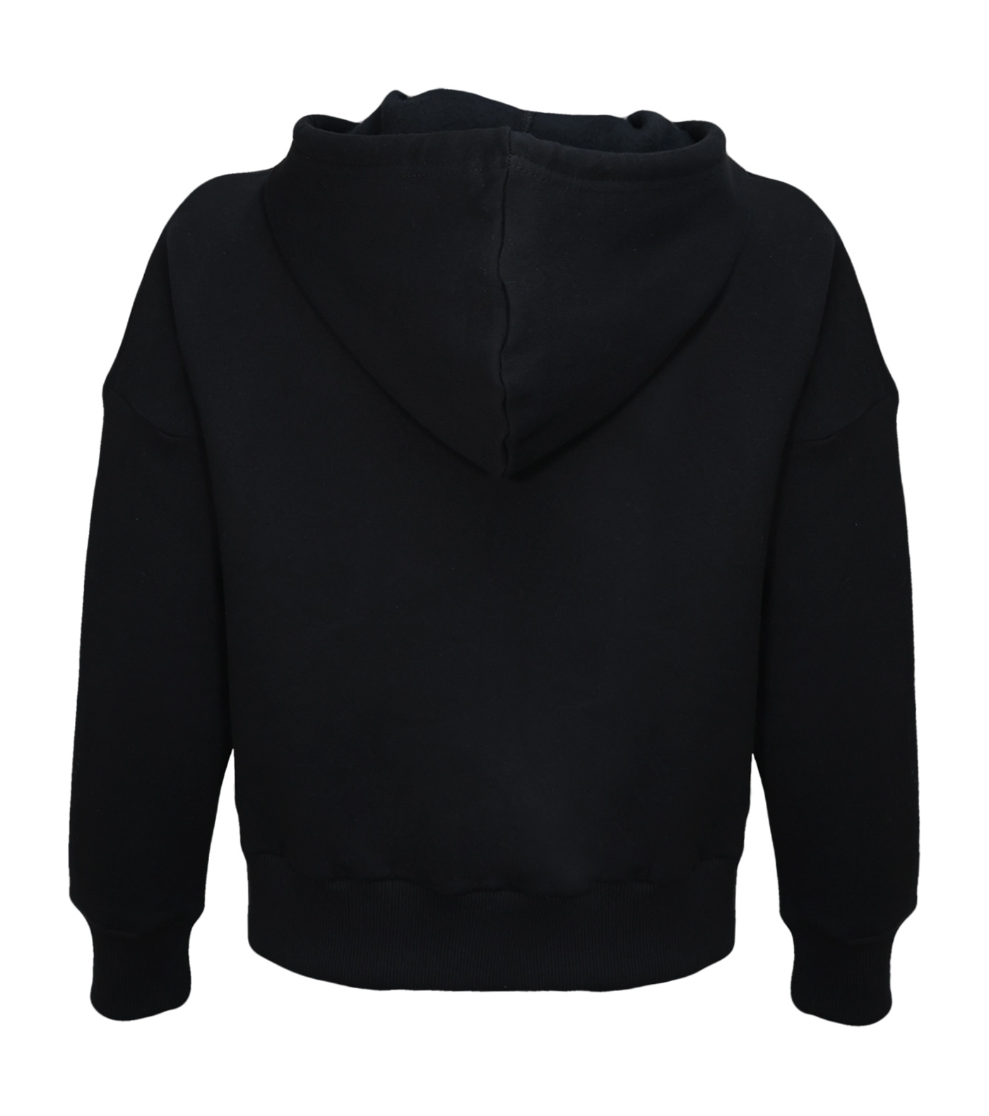 HMLT-IC ICONA HOODIE