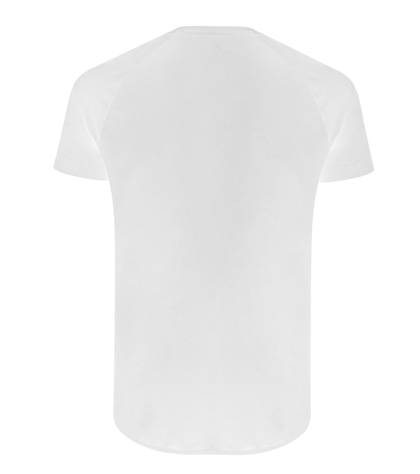 Hectality1 M-T-Shirt IV