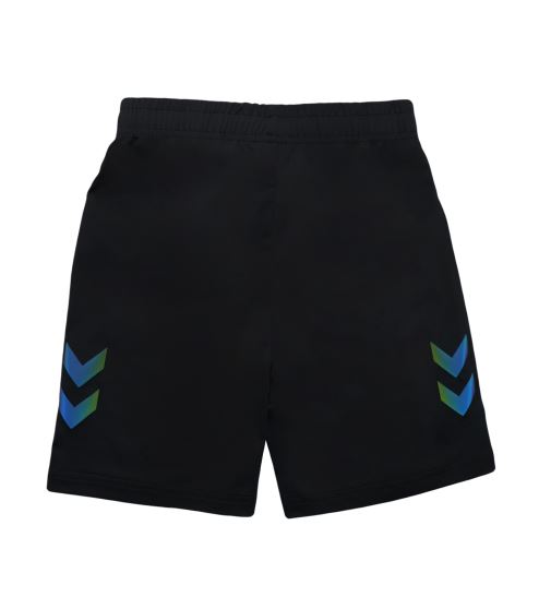 HMLSHIMMER SHORTS