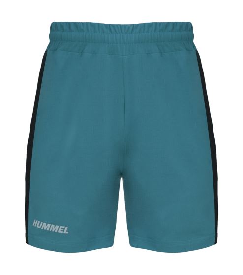 HMLMULTI PL SHORTS