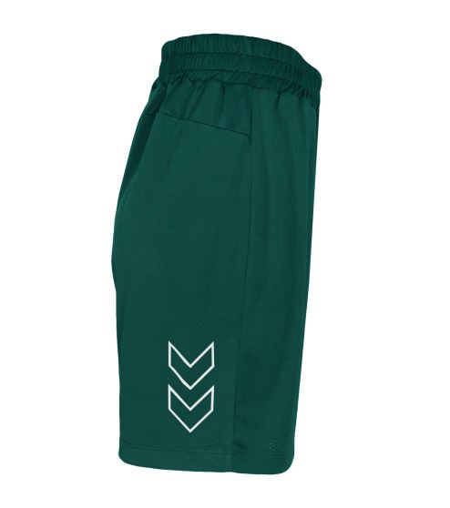HMLT-TE FLEX MESH SHORTS